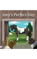 Joey's Perfect Day