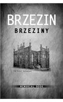 Brzezin Memorial Book