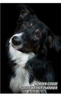 Border Collie 2020 Weekly Planner: Scottish Sheepdog - 12 Months - 107 pages 6 x 9 in. - Planner with Journal - Diary - Organizer - Agenda - Appointment - Notes