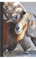 wild hoof