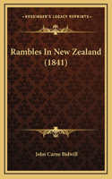 Rambles In New Zealand (1841)