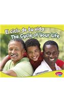 El Ciclo de Tu Vida/The Cycle of Your Life