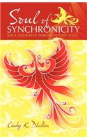 Soul of Synchronicity