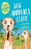 ZANY BRAINY ANIMALS HOW ANIMALS LEARN