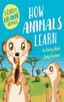 Zany Brainy Animals: How Animals Learn