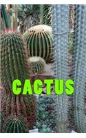 Cactus (Journal / Notebook)