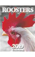 Roosters 2019 Calendar