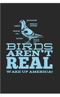 Birds Aren't Real: 120 Pages 6 'x 9' -Dot Graph Paper Journal Manuscript - Planner - Scratchbook - Diary