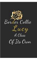 Border Collie Lucy A Class Of Its Own