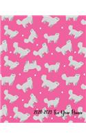 2020-2021 Two Year Planner: Pretty on Pink Persian Cats Cover on a Weekly Monthly Planner Organizer. Perfect 2 Year Motivational Planner, Agenda, Schedule with Vision Board, Ha(2 Cat Lovers 2 Year Planner)