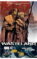 Wasteland Volume 7