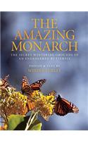 Amazing Monarch