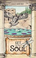 Set of the Soul: An Allegory for the New Age