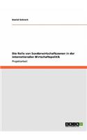 Rolle von Sonderwirtschaftszonen in der internationalen Wirtschaftspolitik