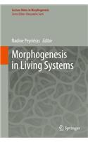 Morphogenesis in Living Systems