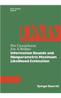 Information Bounds and Nonparametric Maximum Likelihood Estimation