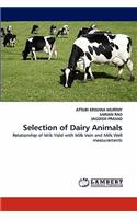 Selection of Dairy Animals