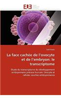 Face Cachée de l'Ovocyte Et de l'Embryon