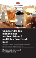Comprendre les mécanismes antibactériens à multiples facettes du miel