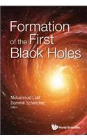 Formation of the First Black Holes