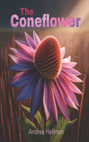 Coneflower
