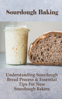 Sourdough Baking: Understanding Sourdough Bread Process & Essential Tips For New Sourdough Bakers: How To Use Excess Sourdough Starter