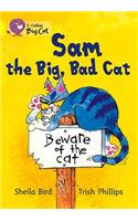 Sam and the Big Bad Cat