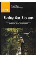 Saving Our Streams