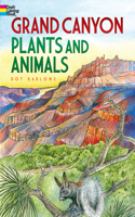 Grand Canyon Plants and Animals Coloring Book