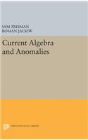 Current Algebra and Anomalies