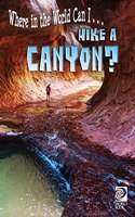 Hike a Canyon?