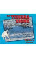 The Tundra Biome