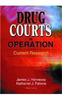 Drug Courts in Operation