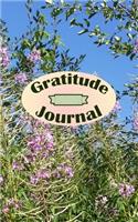 Gratitude Journal