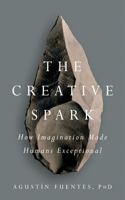 Creative Spark