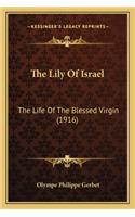 The Lily Of Israel