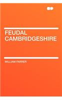 Feudal Cambridgeshire: (English)