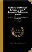 Illustrations of British Entomology; or, A Synopsis of Indigenous Insects: Containing Their Generic and Specific Distinctions; Volume Suppl.