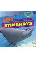 20 Fun Facts about Stingrays
