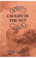 Caught in the Net