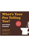 2019 Daily Calendar: What's Your Poo Telling You