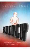 Building Up: Building Bridges from Baggage(English)