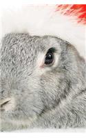 MindBlowing Cute Grey Rabbit Journal