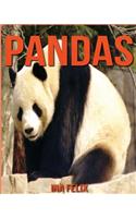 Pandas