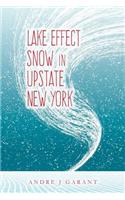 Lake Effect Snow in Upstate New York