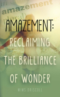 Amazement: Reclaiming the Brilliance of Wonder: Volume 1