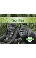 Gorillas