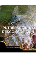 Putrefacción Y Descomposición: Rot and Decay(Let's Explore Science)