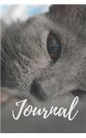 Cat Journal, Blank Lined Kitten Kitty Diary for Thoughts, Ideas, and Dreams 6x9