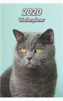 2020 Wochenplaner: Britisch Kurzhaar 107 Seiten, 15cm x 23cm ca. A5 Taschenkalender Terminplaner Tagebuch Terminkalender Organizer für Katzenliebhaber